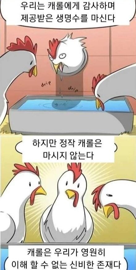 16747272492928.jpeg