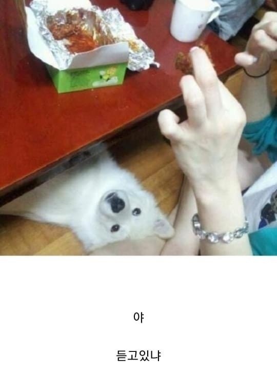 16748928446958.jpg