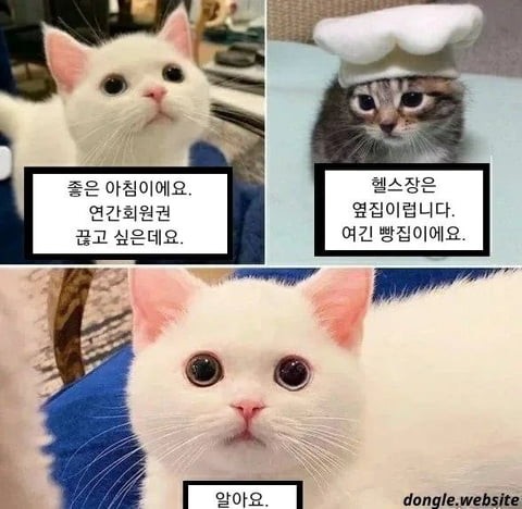 16750098567985.jpeg