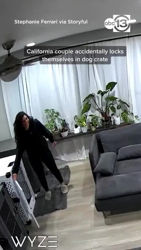 16750350516226.jpg