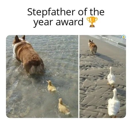 16784478456085.jpg