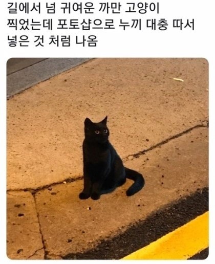 16795656545378.jpg