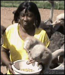 16824762435149.gif