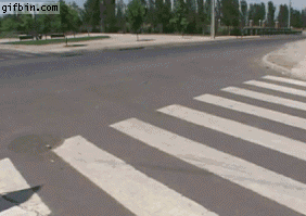 1682476248928.gif