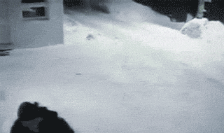 16825608505057.gif