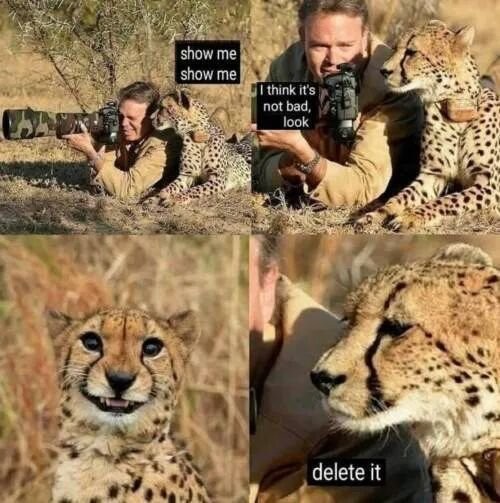 16837632472706.jpg