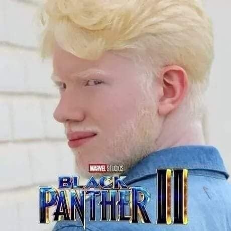 16838784424295.jpg
