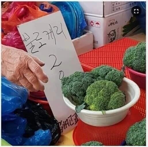 16935660803895.jpg
