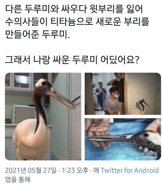 17029224965943.jpg