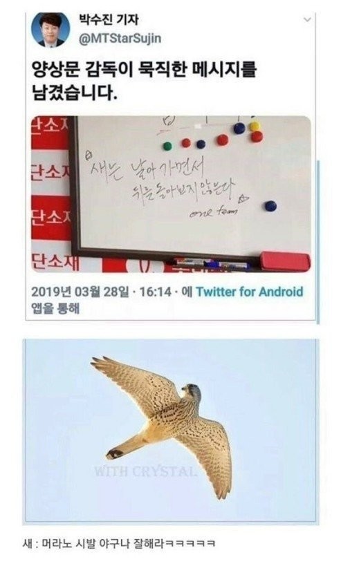 17043372908062.jpg