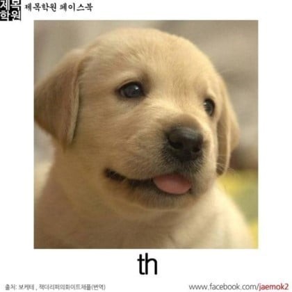 17111286919277.jpeg