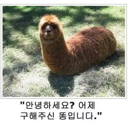17111286947264.png