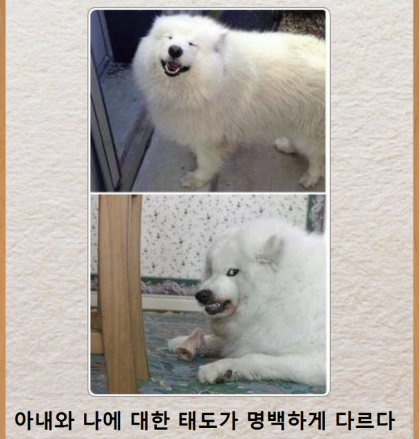 17111286980338.png