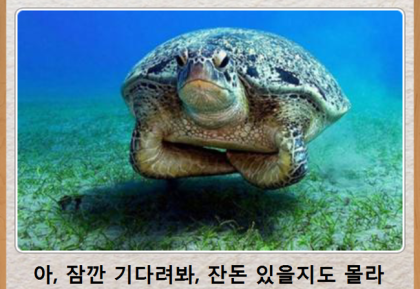 17111287010528.png